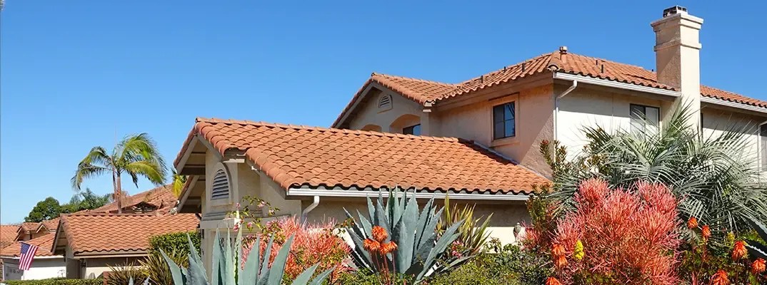 A house surrounded by desert plants