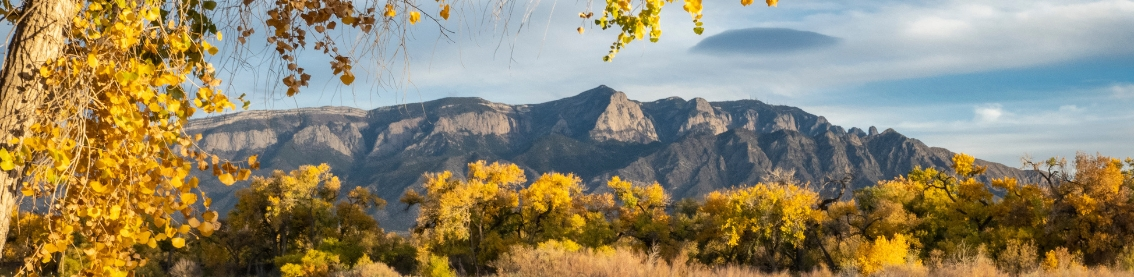 The western face of the Sandia mountains during the day with trees bearing yellowing leaves in the foreground